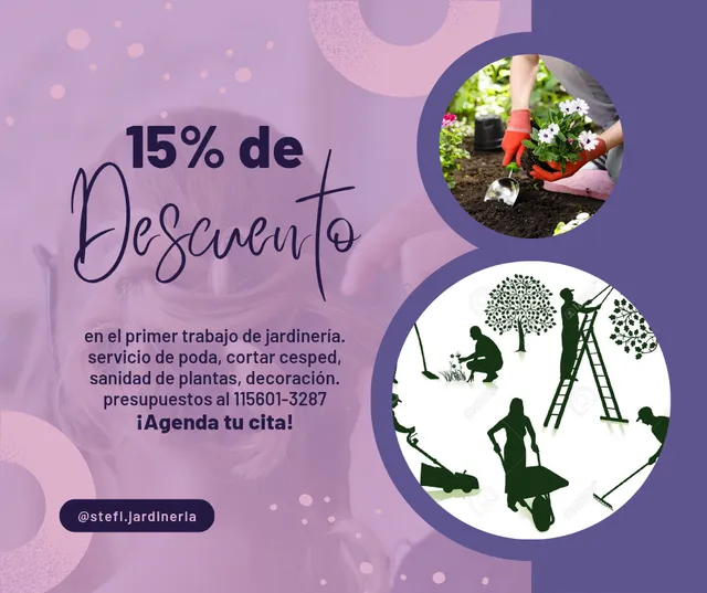 Servicio De Corte De Cesped, Sanidad De Plantas, Decoración 