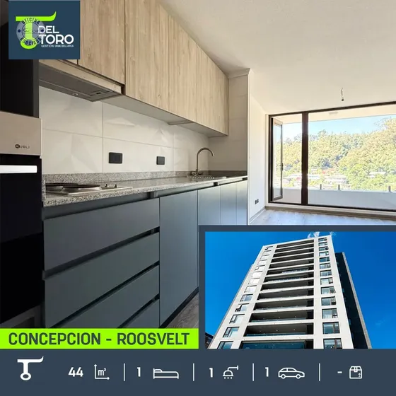 Departamento En Arriendo De 1 Dorm. En Concepción