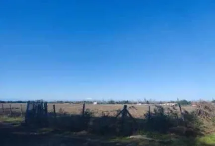 Agrícola En Venta En San Nicolás