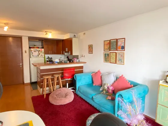 Alto Las Condes 1 Dormitorio