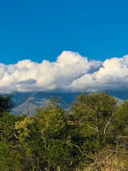 Inversion En Luyaba - 18 Fracciones De 1 Hectarea En Venta