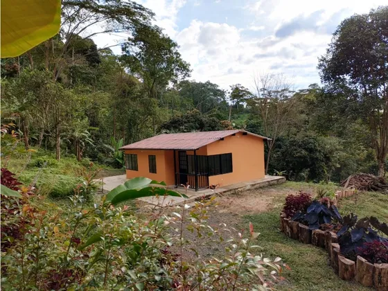 Vendo Finca En Mesitas 