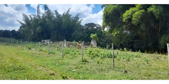 Lote Via  Al Carmen, Klm 30 Via Al Mar, A Pie De Carretera