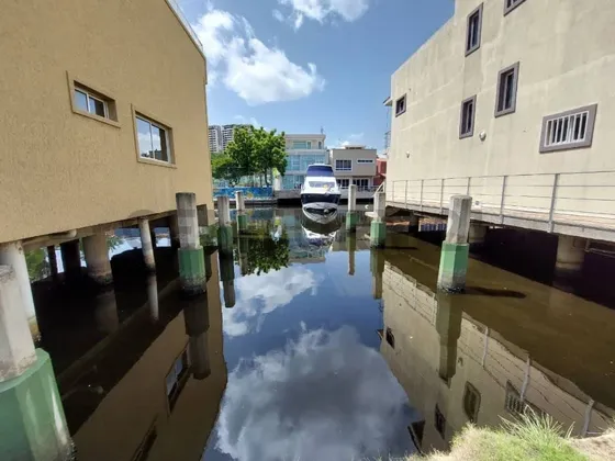 Parcela Casas Bote C De Lecheria
