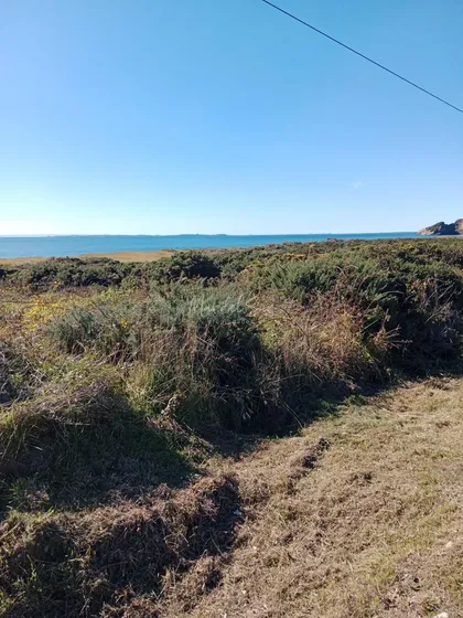 Terreno Industrial Con Frente Marítimo Ancud Chiloé