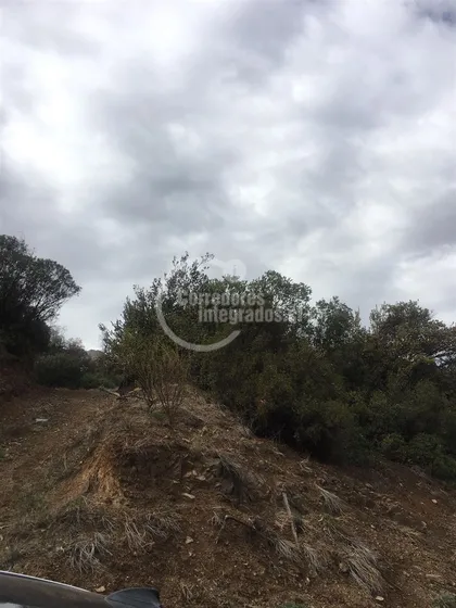 Sitio En Venta En Lo Barnechea