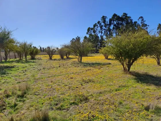 Inversion Campo Y Naturaleza En Marchigue
