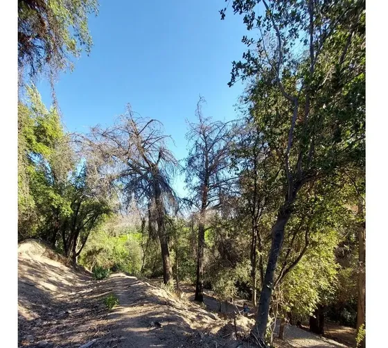 Exclusiva Y Hermosa Parcela De 5000m2 En Sector Las Majadas
