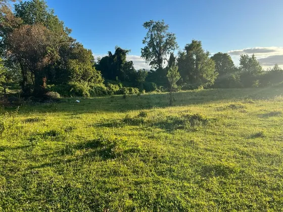 Terreno Construccion En Venta En Pucón