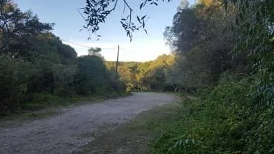 Venta  Fracción De 4.1/5 Has C/ 232 M De Frente Sobre Camino Al Cuadrado.