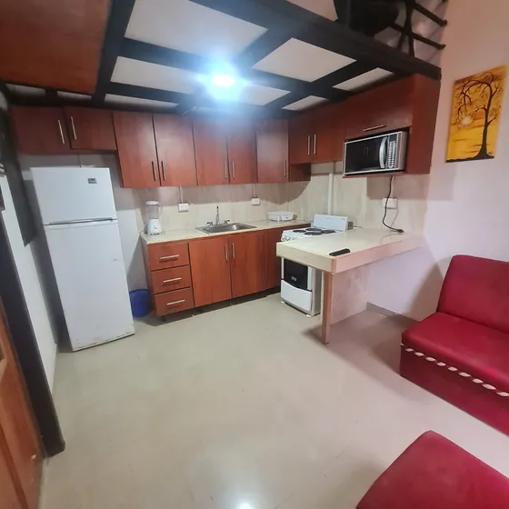 Apartamento Amueblado Tipo Loft Apto Para Teletrabajo