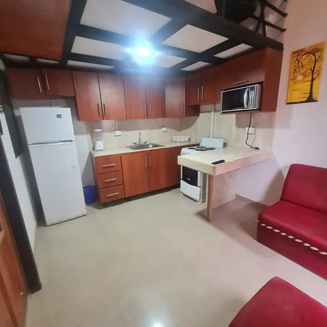 Apartamento Amueblado Tipo Loft Apto Para Teletrabajo