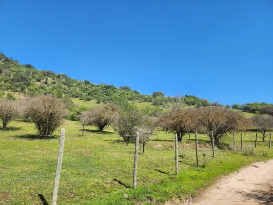Terreno Las Cabras