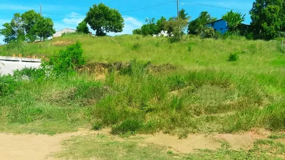 Lote Em Praia Grande Na Divisa Com Nova Almeida Es - Serra | Vitória 