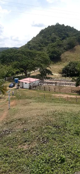Hermosa Finca De 27 Ha Con Casa Fg