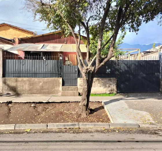 Sector Mixto (102882)