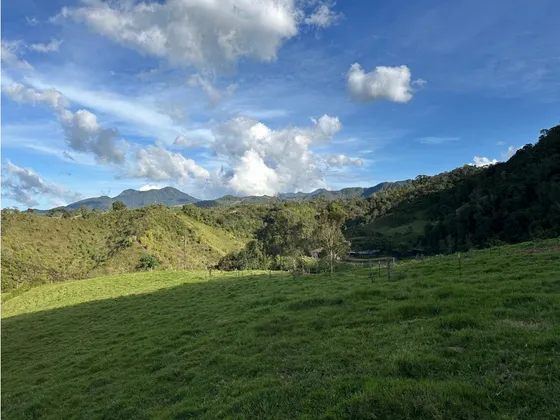 Encantadora Finca Ganadera En Venta La Union