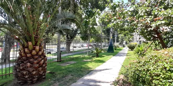 Primer Piso - Vista Despejada Con Árboles