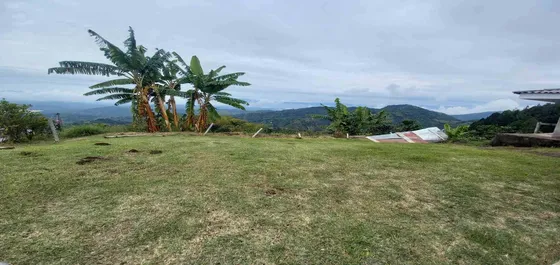Finca En Venta En La Aurora/manizales  (279059835).