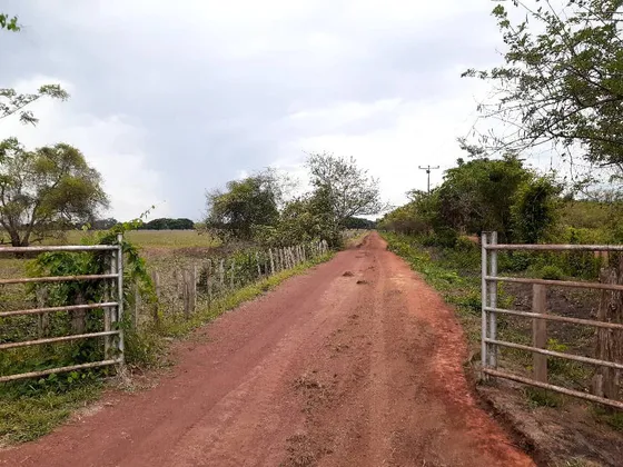 Ubicación: Estado: Cojedes, Carretera Tinaco  El Baúl, Aproximadamente A 70 Kms. De La Población De Tinaco Y A 50 Kms De La Población Del Baúl.ns