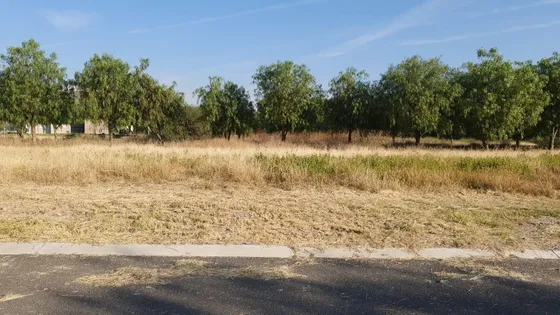 Venta De Terreno En Viñedos Polo Queretaro