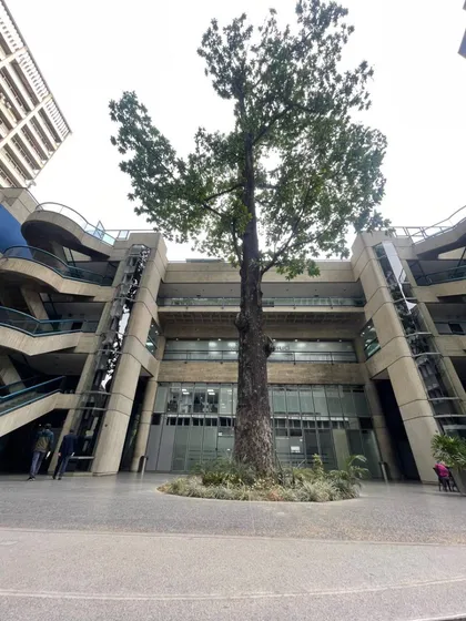 Venta Oficina Los Palos Grandes Menegrande (me) 