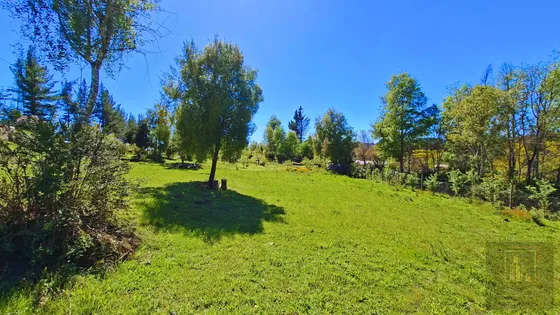 Parcela Con 2 Casas Y 8000m2 De Terreno (126968)