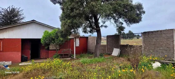 Rol Propio Ventanas Puchuncaví (96304)