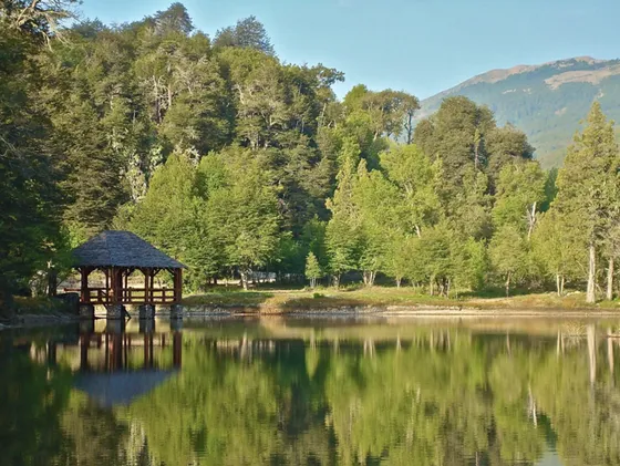 Espectacular Terreno En Venta Curicó A La Cordillera, Bosqu