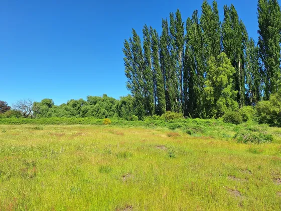Parcelas Agroresidenciales De 5.000 M2 A 5 Minutos De Los Án