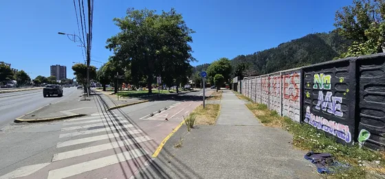 Se Arrienda Local Comercial En Chiguayante.