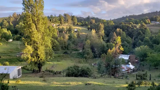 Venta De 8.2 Hectáreas Entre Cunco Y Temuco.