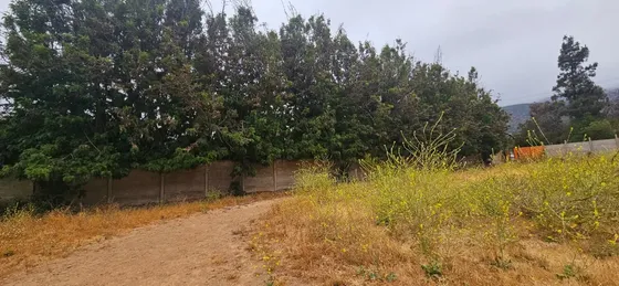 Terrenos Planos Urbano En Olmué En Venta