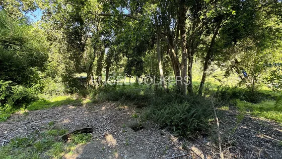 Excelente Terreno En Altos De Mitrinhue