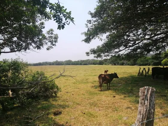Terreno En Venta Anton Lizardo