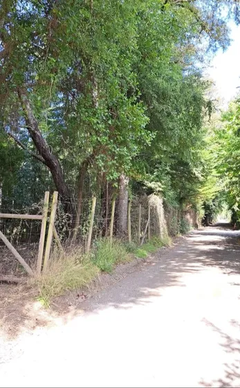 Parcela 5.000 M2 Sector Loncotraro. Entre Villarrica Y Pucon