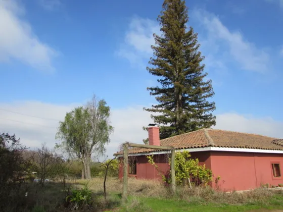 San Rafael // Casa Inmersa En Parcela (68745)