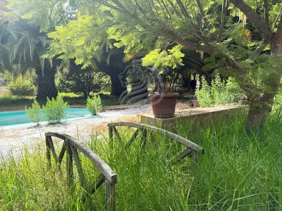 Venta Parcela De 20.000 M2 Con Casa Regularizada