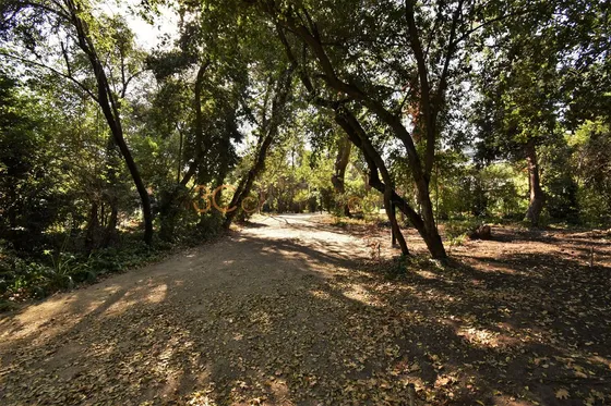 Inmobiliaria / Camino San Francisco De Asis / Cantagallo