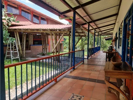 Finca De 12 Cuadras En Pueblo Tapao Cultivada En Cacao