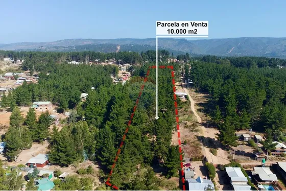 Excelente Parcela De 1 Hectárea En Laguna Verde