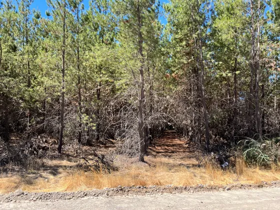Venta De Terreno En Cauquenes