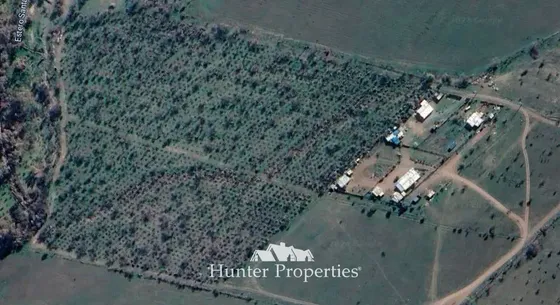 Agrícola En Venta En Colina B5