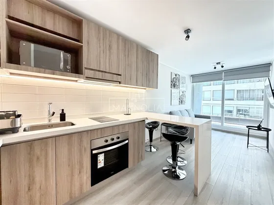 Departamento Amoblado En Arriendo De 1d/1b En Las Condes