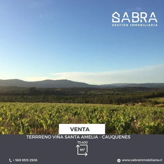 Se Vende Viña En Cauquenes