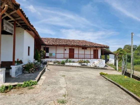 Finca De 60 Cuadras En Filandia Cultivada En Cafe Y Limón Tahiti