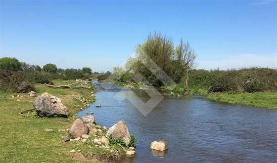 Parcela En Venta En Teno