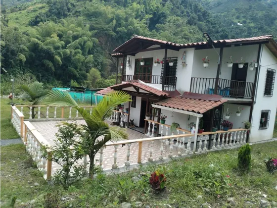 Venta De Finca En Via Chinchina