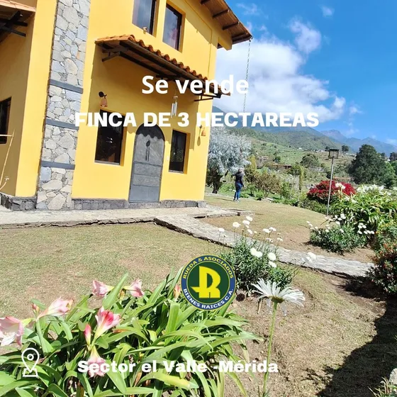 En Venta Finca Alto Viento En El Valle Mérida - Venezuela