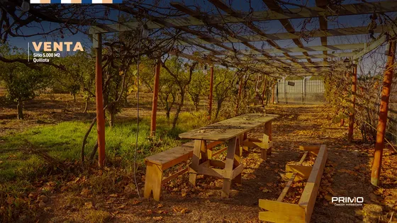 Parcela 5,000 M2 Con Casa Y Rol Propio / Rauten